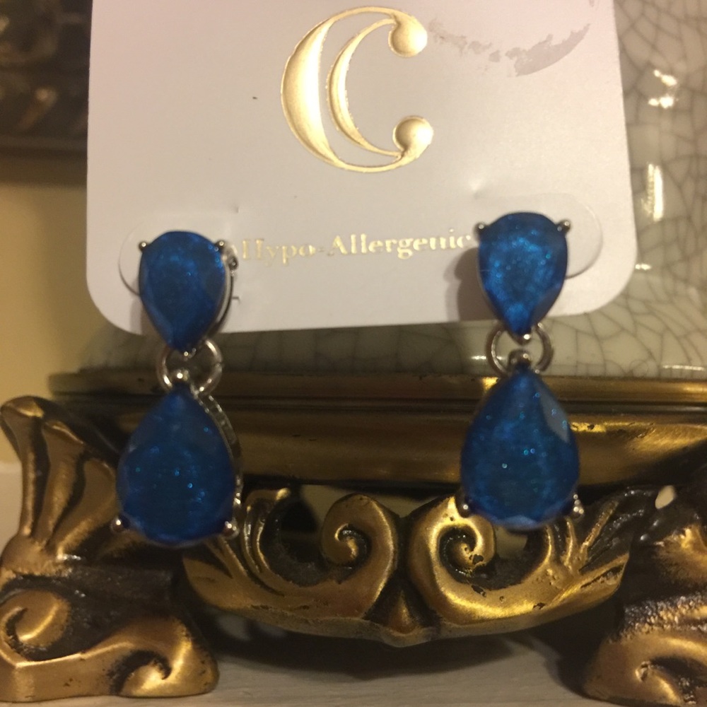 Charming Charlie Earrings.
